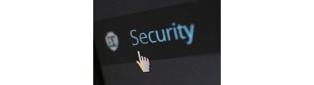 Safeguard Your Data: Security Essentials for Salesforce Users in Delhi NCR